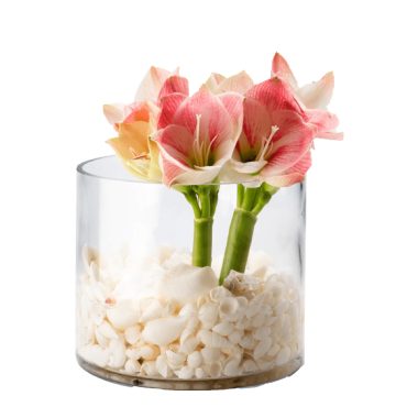 Cylinder Bowl 19X19 cm