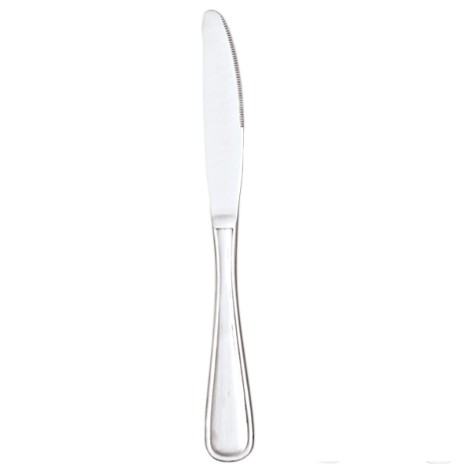 Nova Vision Table Knife