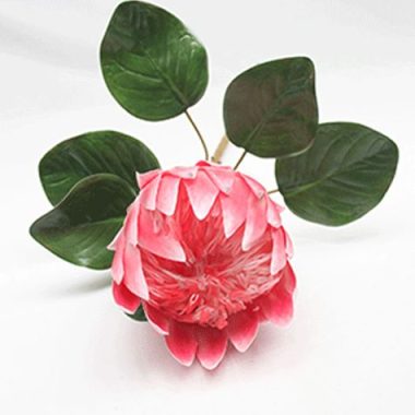 Queen Protea Pink 70 cm