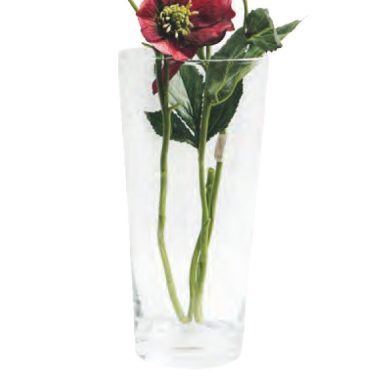 Conical Vase 25X12 cm